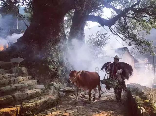 北京有什么特产小吃红迪网-专业社区平台